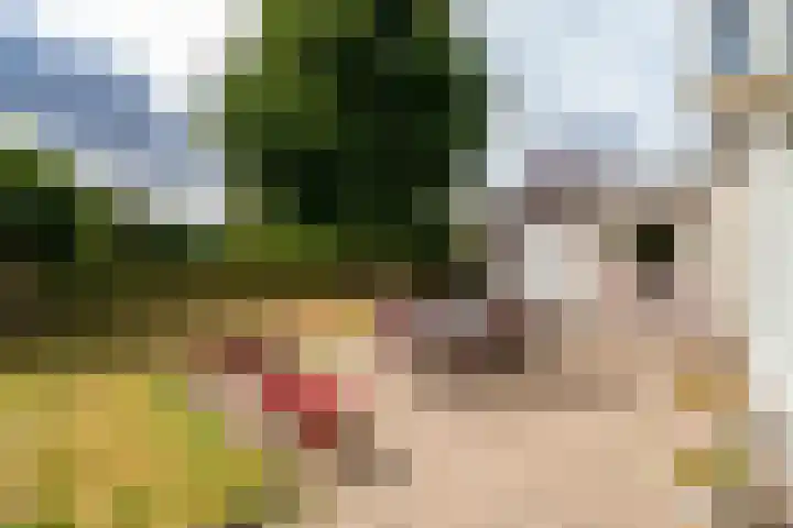 Puccinilaan 1 b Berkel-Enschot thumbnail 5