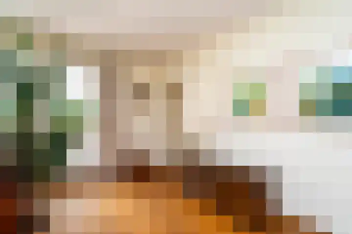 Puccinilaan 1 b Berkel-Enschot thumbnail 9