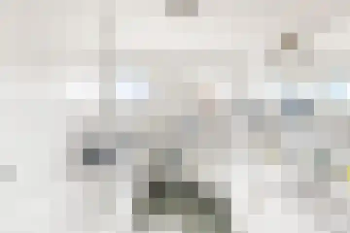 Puccinilaan 17 Vlissingen thumbnail 20