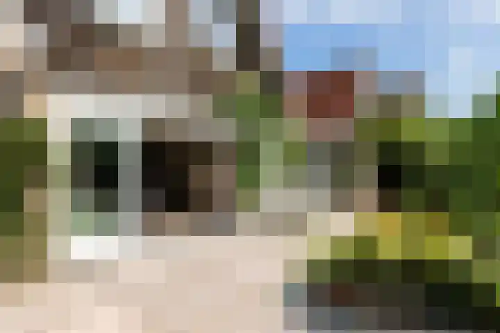 Puccinilaan 17 Vlissingen thumbnail 25