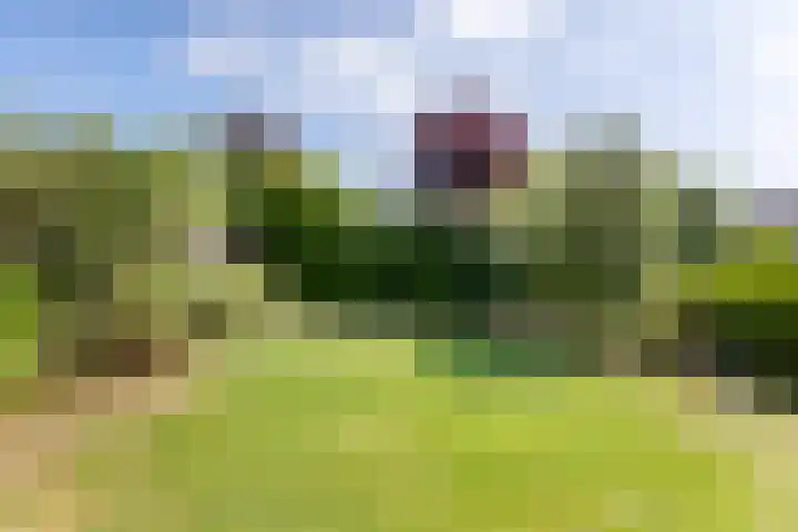 Puccinilaan 17 Vlissingen thumbnail 27