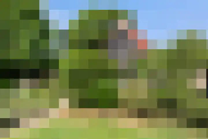 Puccinilaan 17 Vlissingen thumbnail 29