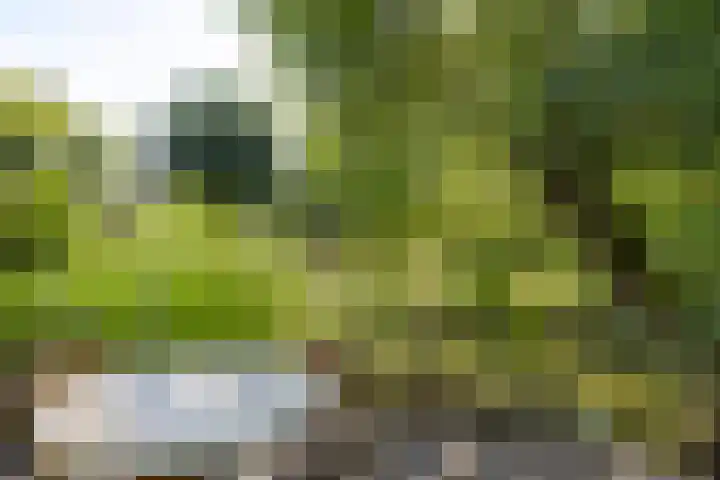 Puccinilaan 17 Vlissingen thumbnail 30