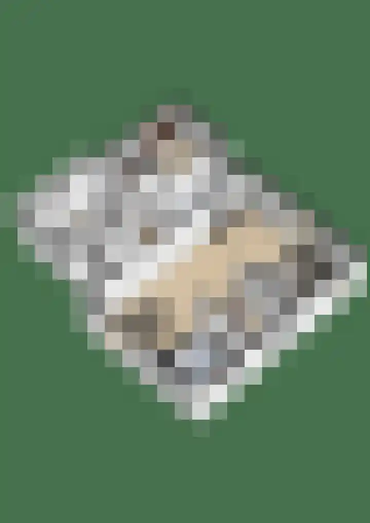 Puccinilaan 17 Vlissingen thumbnail 35