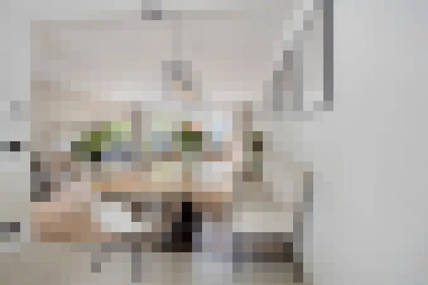 Puccinilaan 4 Nieuw-Vennep thumbnail 10
