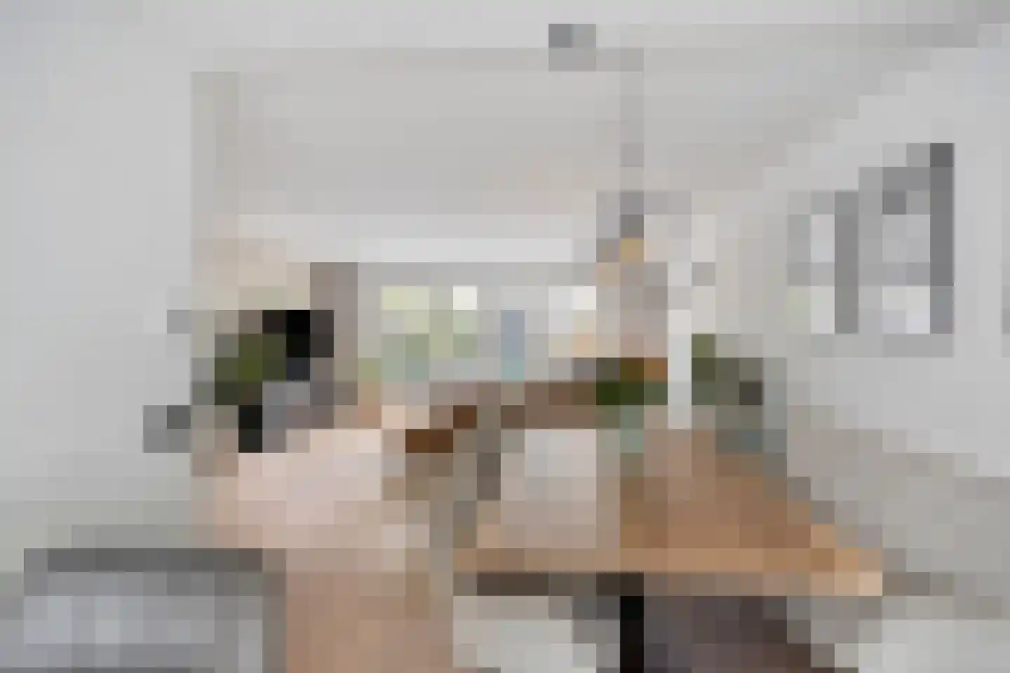 Puccinilaan 4 Nieuw-Vennep thumbnail 16