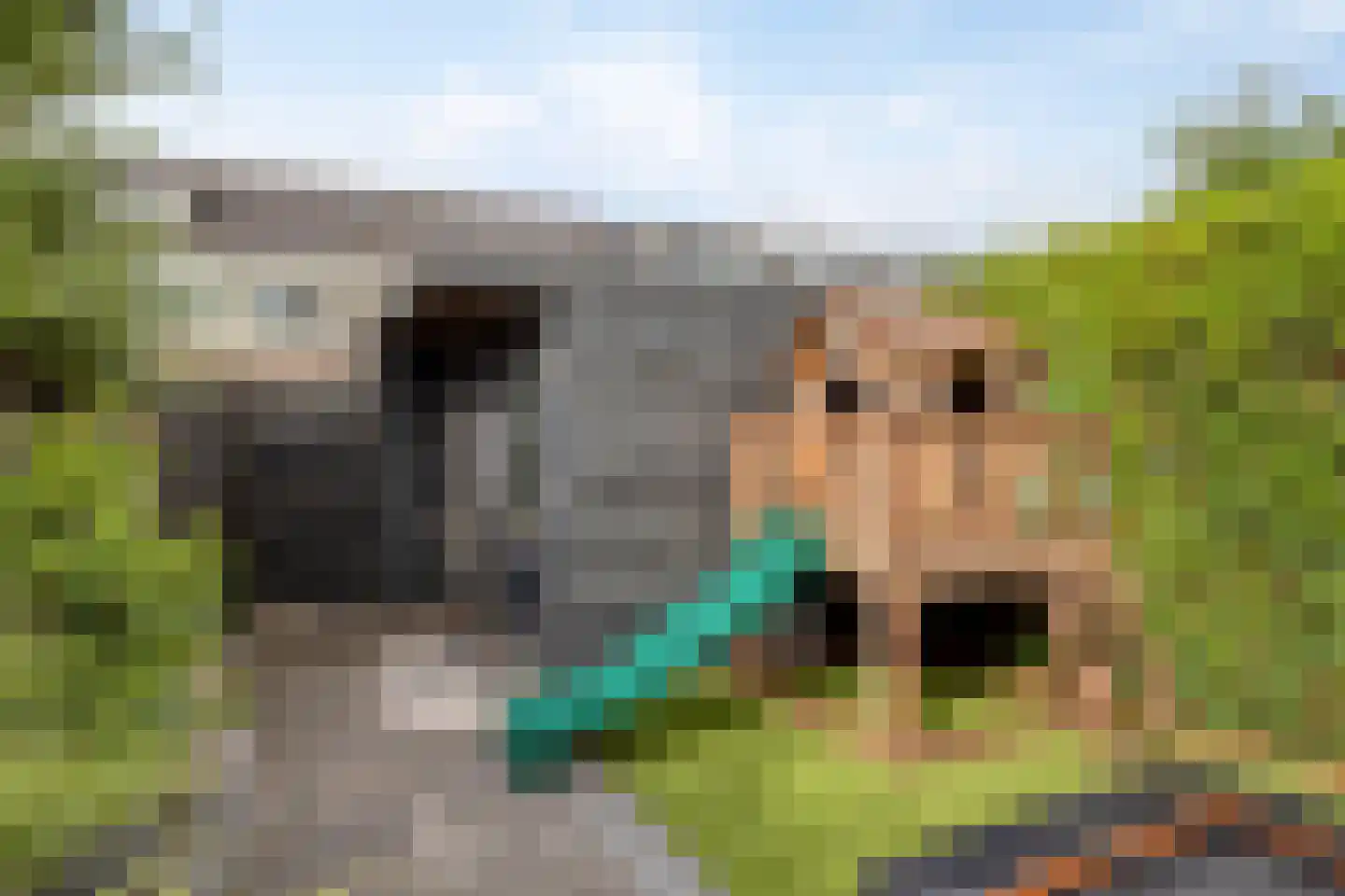 Puccinilaan 4 Nieuw-Vennep thumbnail 19