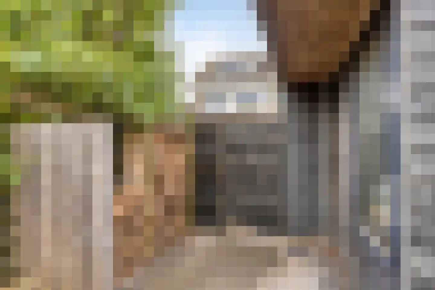 Puccinilaan 4 Nieuw-Vennep thumbnail 20