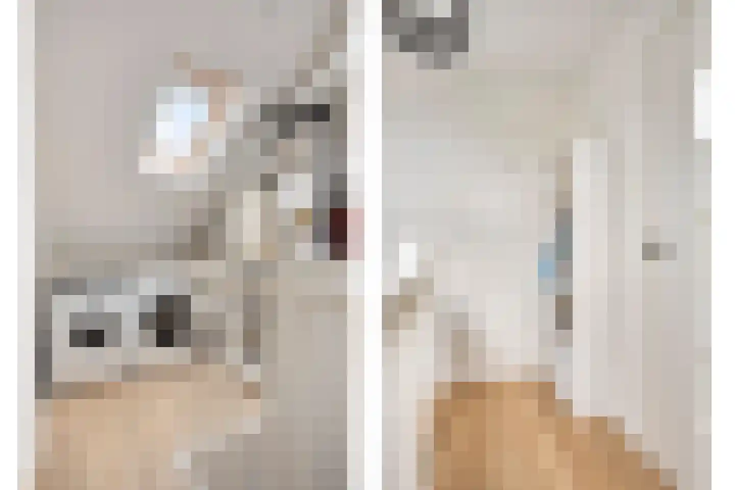 Puccinilaan 4 Nieuw-Vennep thumbnail 35