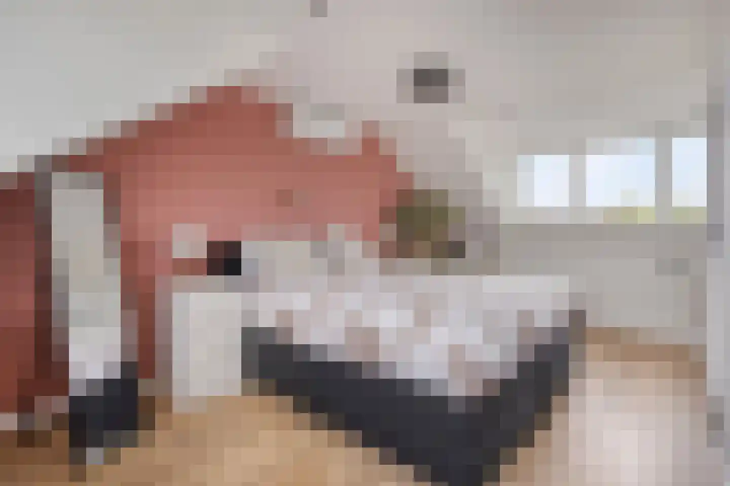 Puccinilaan 4 Nieuw-Vennep thumbnail 40
