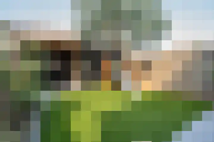 Puccinistraat 1 Gorinchem thumbnail 35