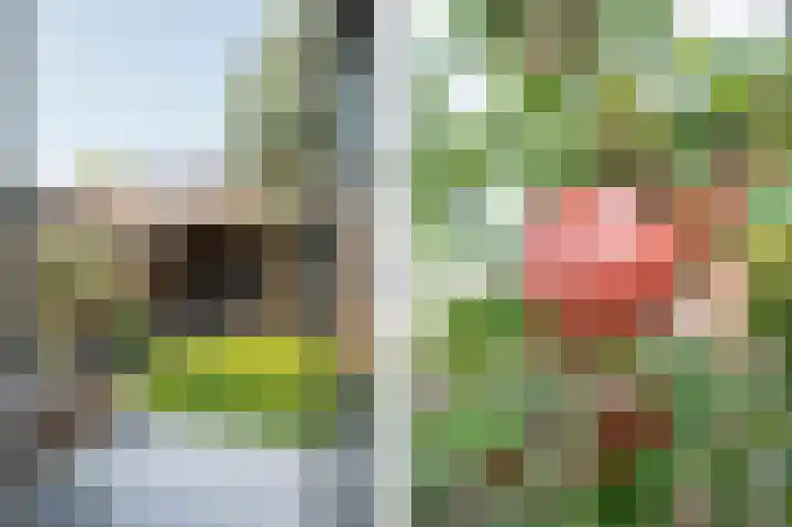 Puccinistraat 1 Gorinchem thumbnail 38