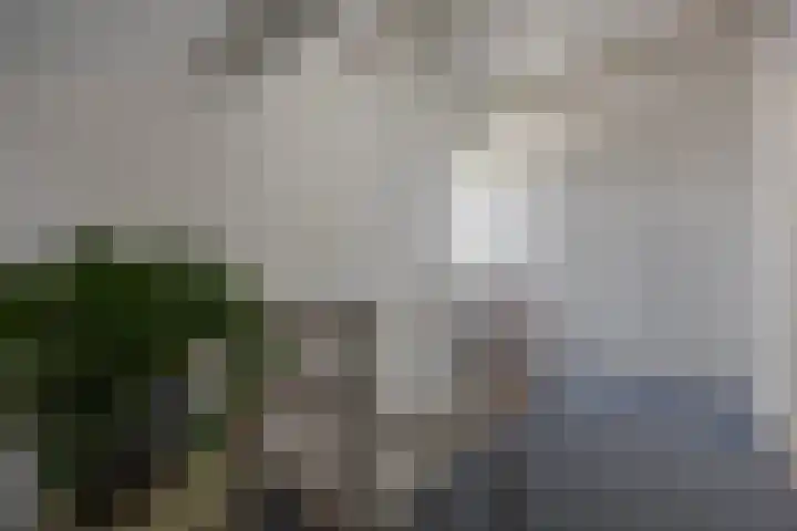 Puccinistraat 1 Waalwijk thumbnail 20