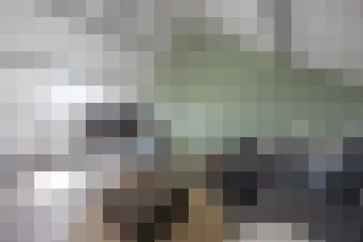 Puccinistraat 1 Waalwijk thumbnail 22