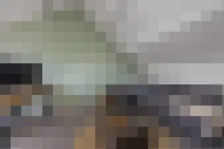 Puccinistraat 1 Waalwijk thumbnail 23