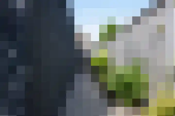 Puccinistraat 1 Waalwijk thumbnail 25