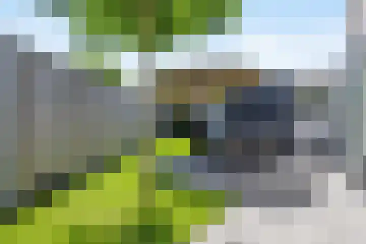 Puccinistraat 1 Waalwijk thumbnail 26