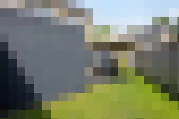 Puccinistraat 1 Waalwijk thumbnail 28