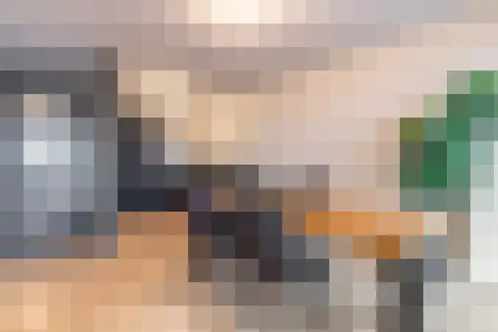 Puccinistraat 108 Capelle aan den IJssel thumbnail 20