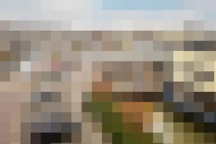 Puccinistraat 108 Capelle aan den IJssel thumbnail 35