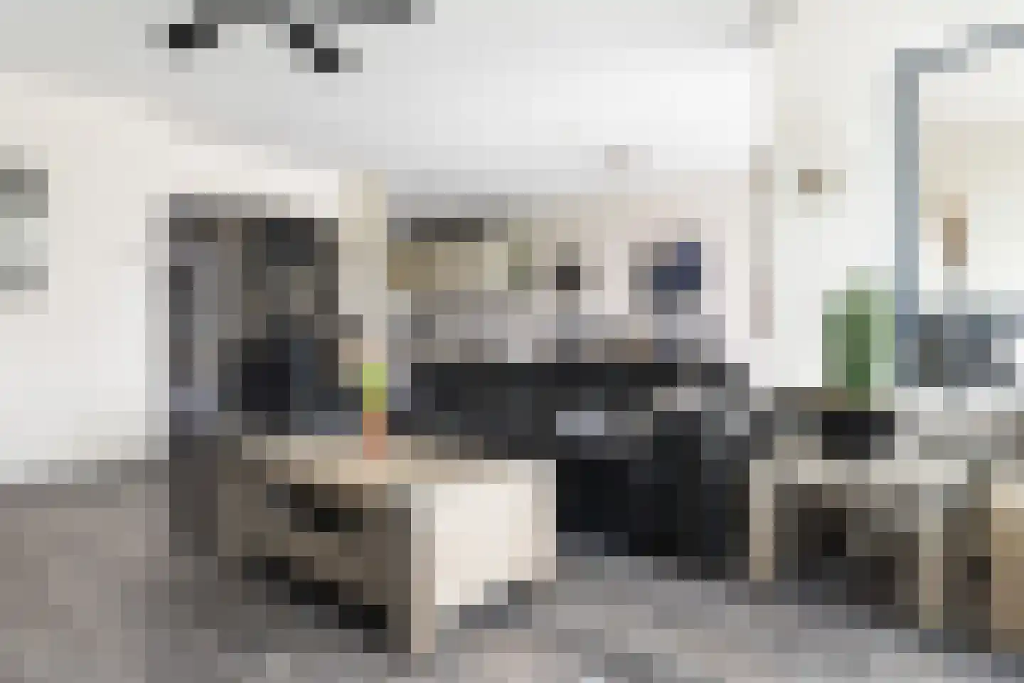 Puccinistraat 112 Capelle aan den IJssel thumbnail 11