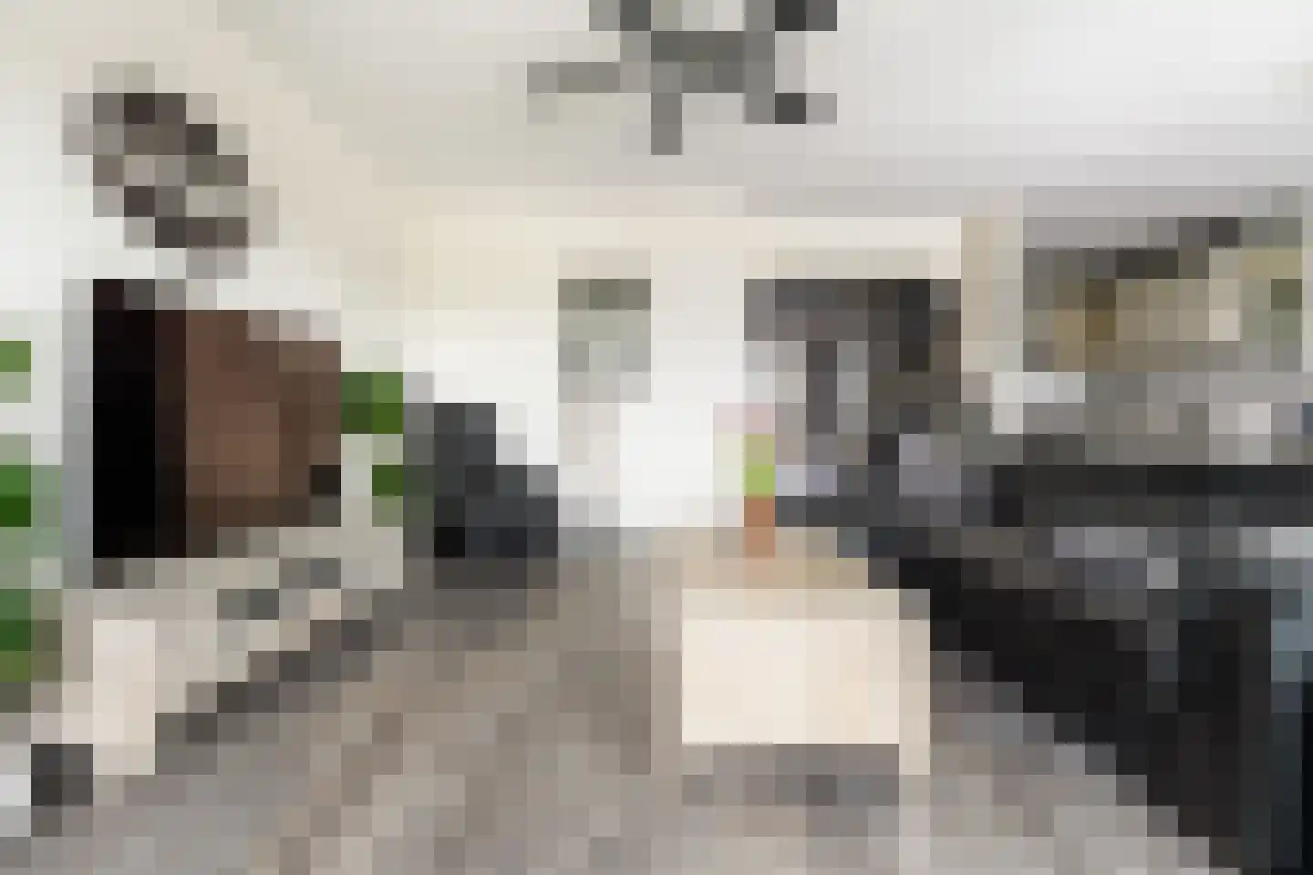 Puccinistraat 112 Capelle aan den IJssel thumbnail 13
