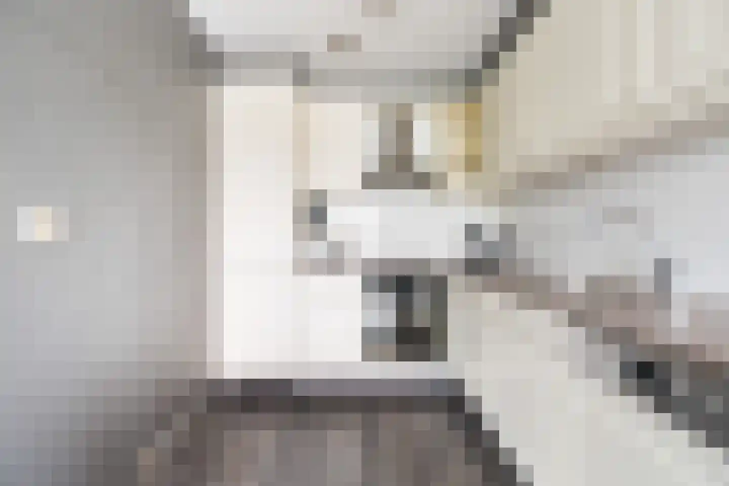 Puccinistraat 112 Capelle aan den IJssel thumbnail 22