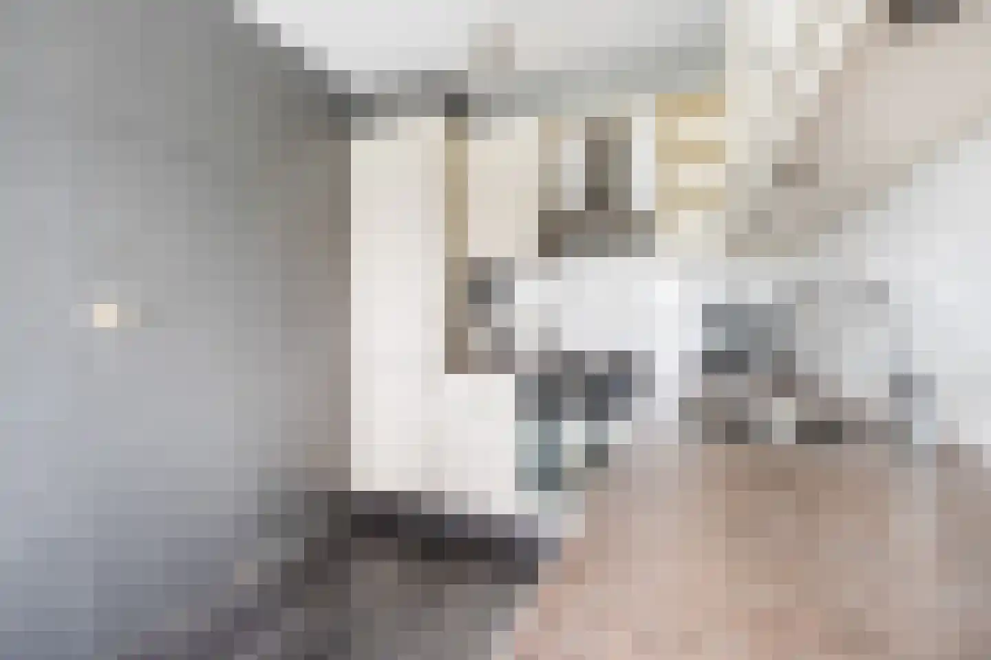Puccinistraat 112 Capelle aan den IJssel thumbnail 23