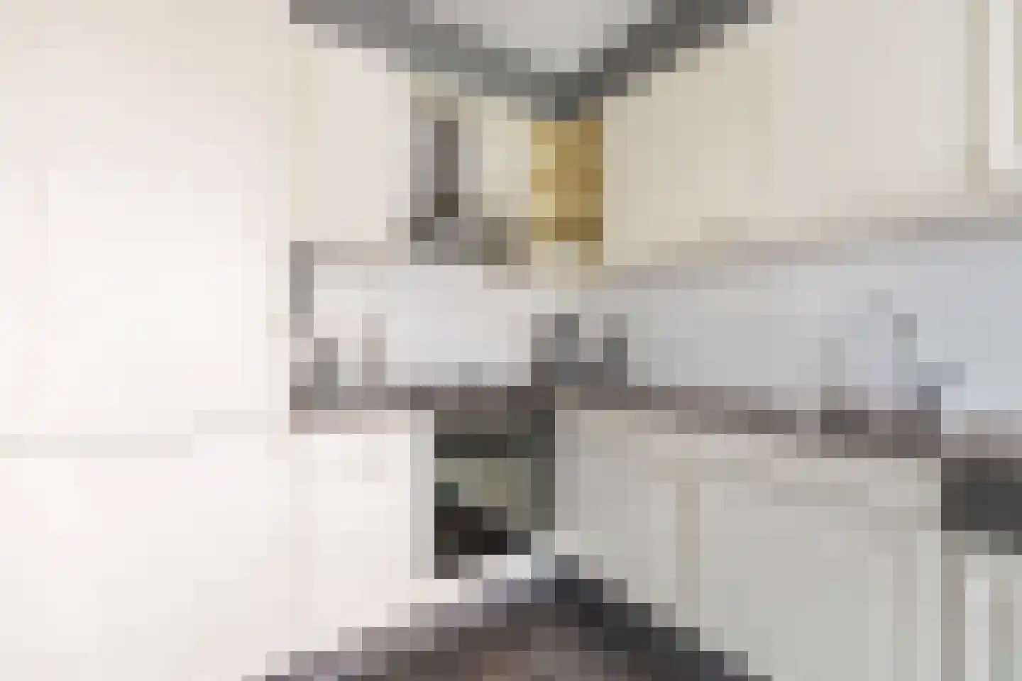 Puccinistraat 112 Capelle aan den IJssel thumbnail 24
