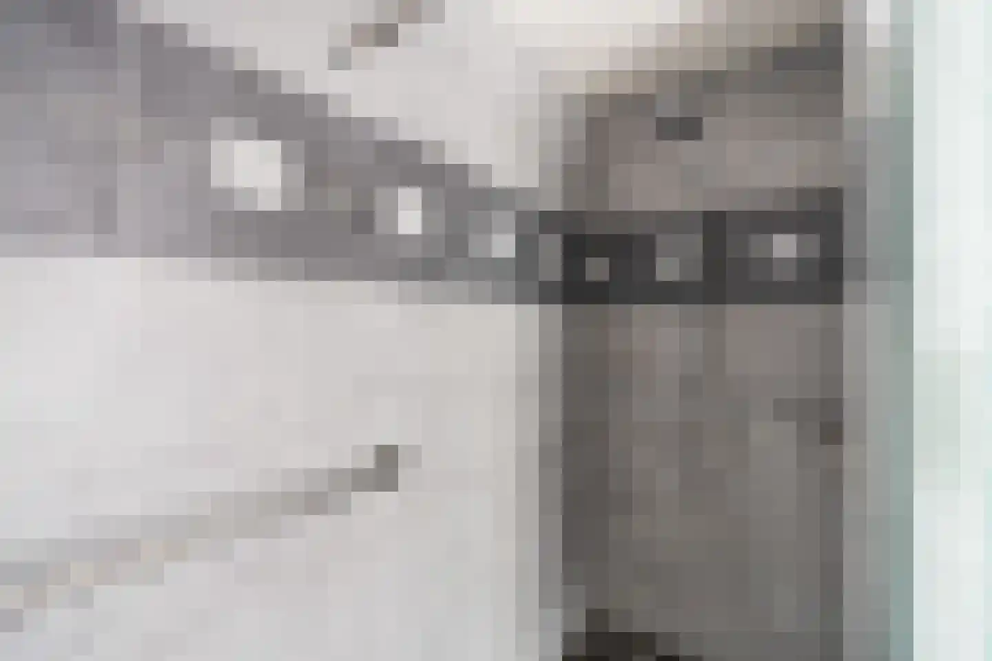 Puccinistraat 112 Capelle aan den IJssel thumbnail 34