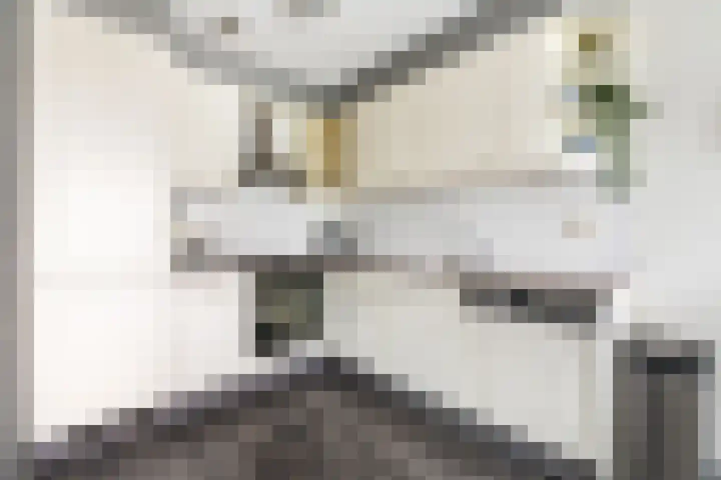 Puccinistraat 112 Capelle aan den IJssel thumbnail 4
