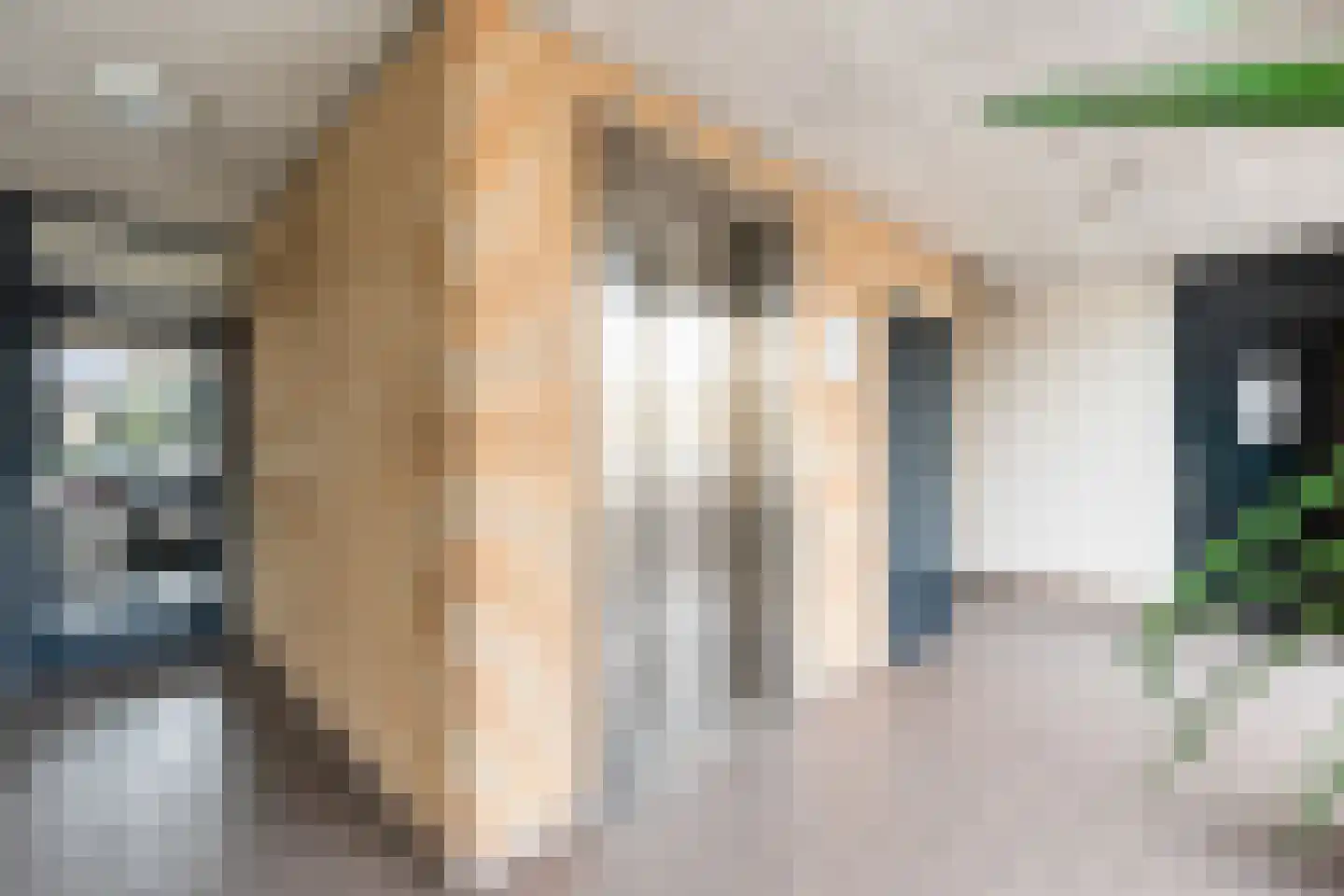 Puccinistraat 112 Capelle aan den IJssel thumbnail 5