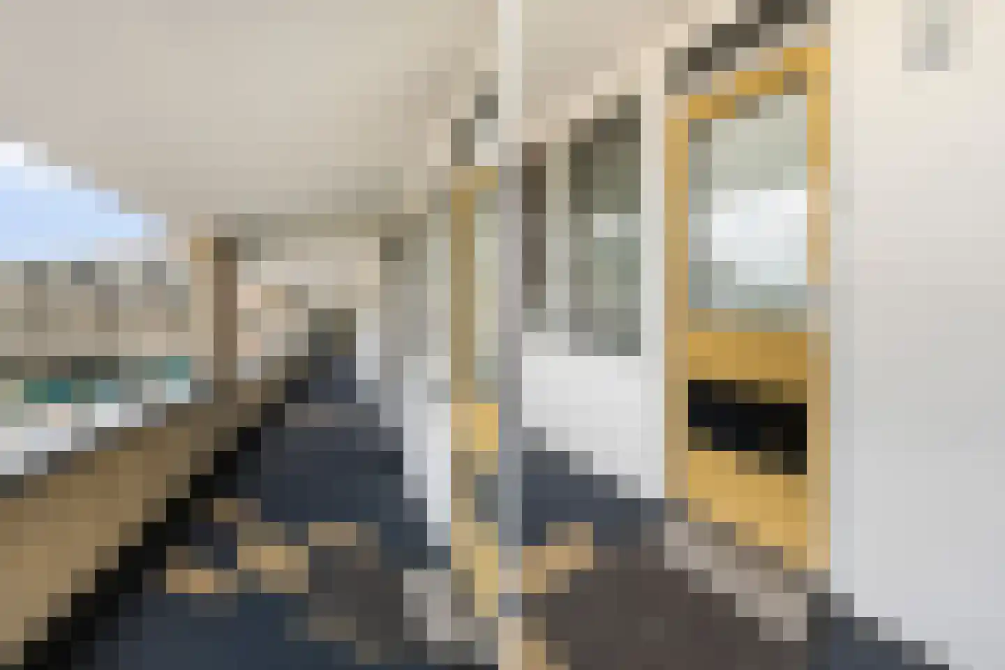 Puccinistraat 112 Capelle aan den IJssel thumbnail 6