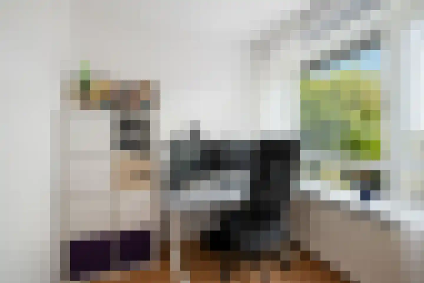 Puccinistraat 114 Capelle aan den IJssel thumbnail 22