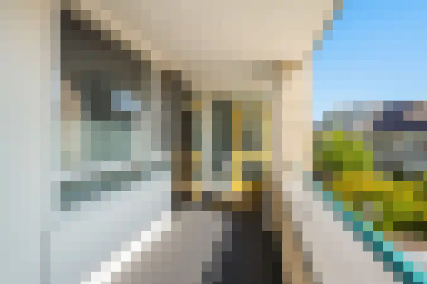 Puccinistraat 114 Capelle aan den IJssel thumbnail 5