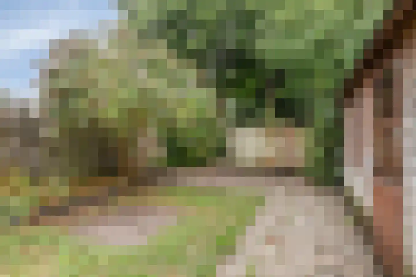 Puccinistraat 12 Zevenaar thumbnail 10