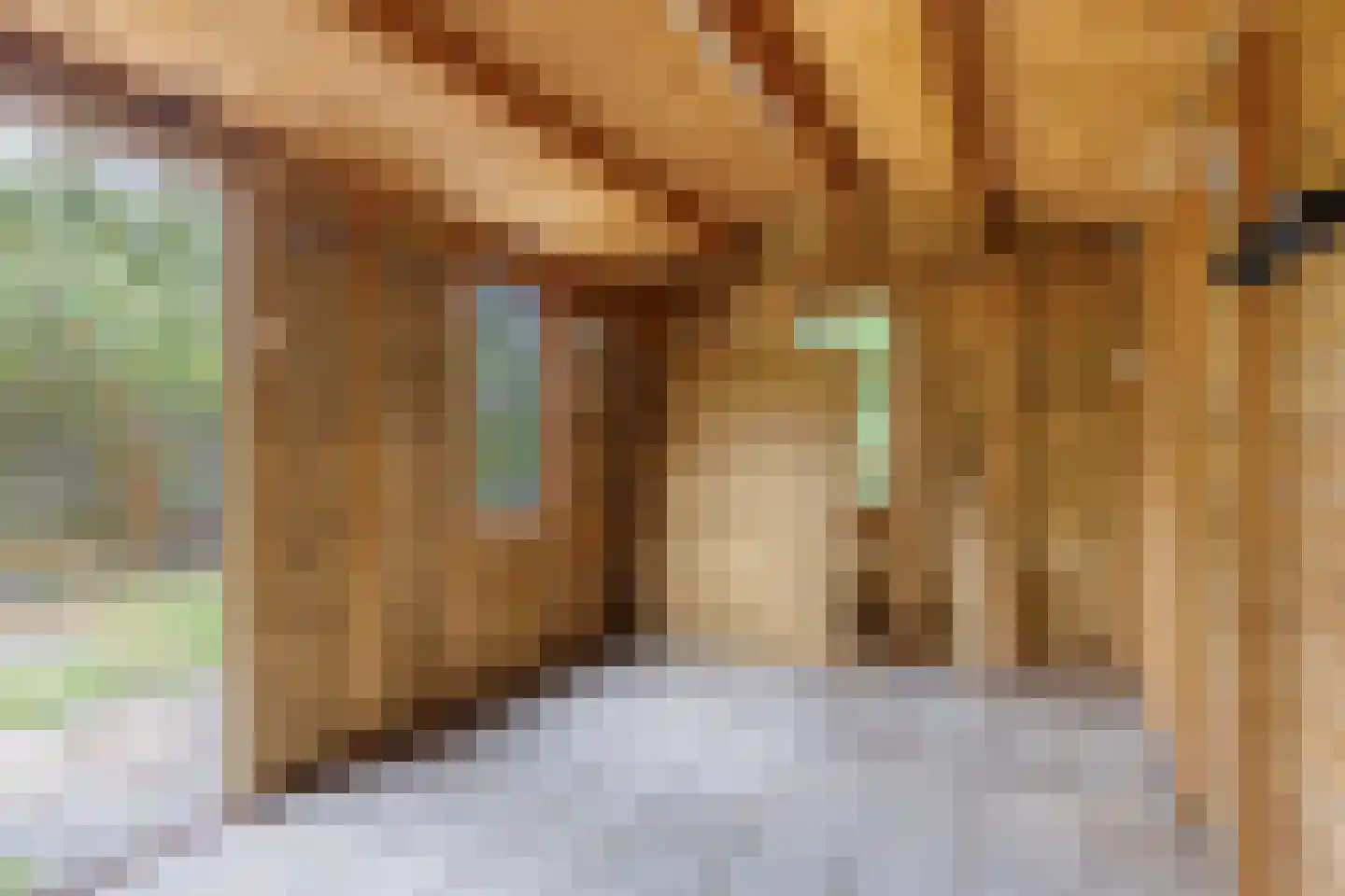 Puccinistraat 12 Zevenaar thumbnail 11