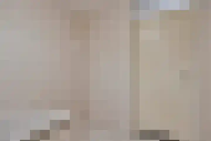 Puccinistraat 127 Capelle aan den IJssel thumbnail 19
