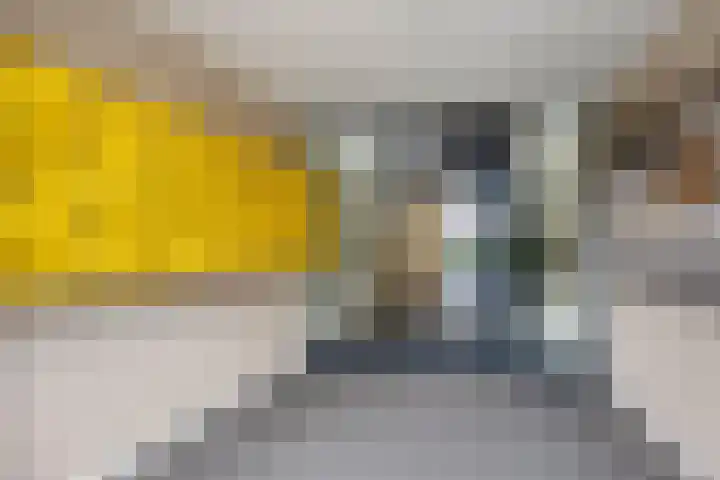 Puccinistraat 127 Capelle aan den IJssel thumbnail 27