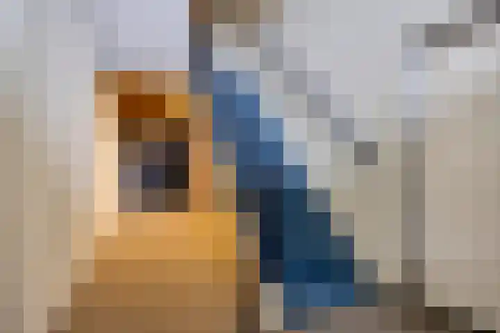 Puccinistraat 127 Capelle aan den IJssel thumbnail 29