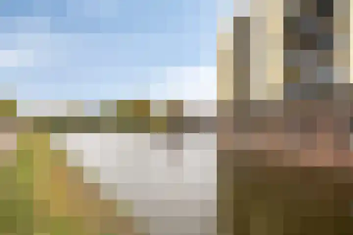 Puccinistraat 127 Capelle aan den IJssel thumbnail 35