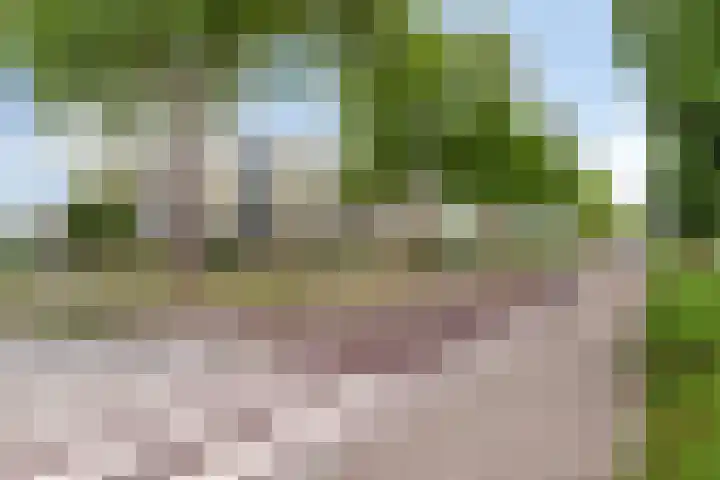Puccinistraat 129 Capelle aan den IJssel thumbnail 19