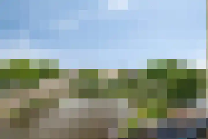 Puccinistraat 129 Capelle aan den IJssel thumbnail 8