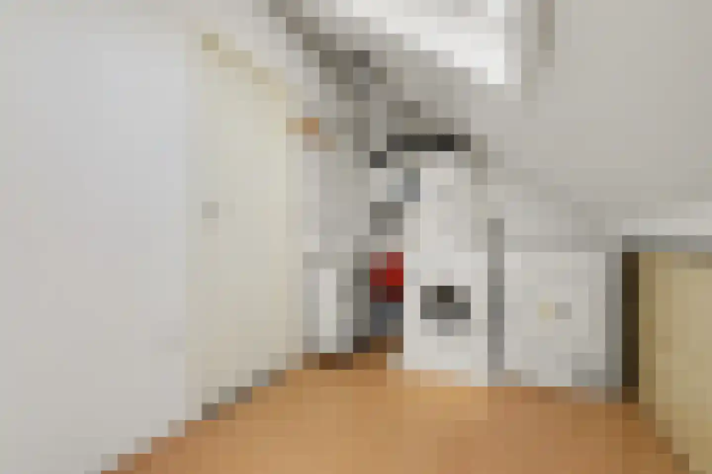 Puccinistraat 13 Barendrecht thumbnail 30