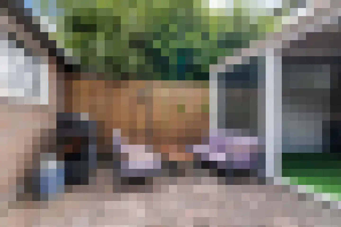 Puccinistraat 13 Boxtel thumbnail 43
