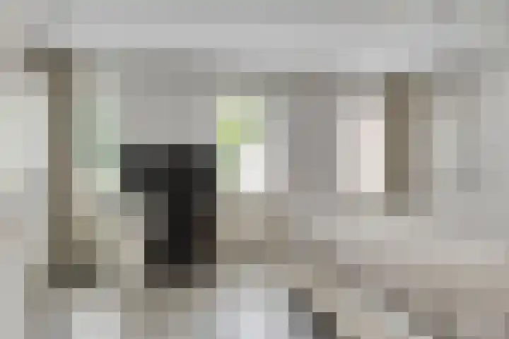 Puccinistraat 13 Zwolle thumbnail 12