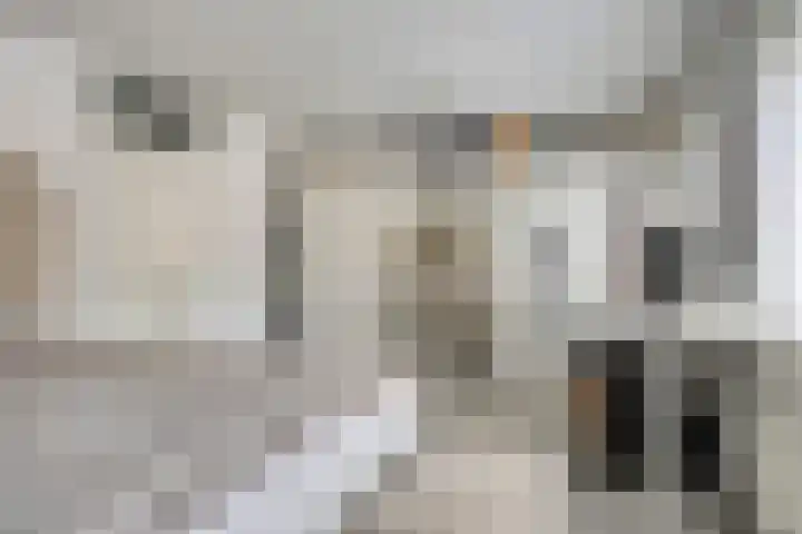 Puccinistraat 13 Zwolle thumbnail 13
