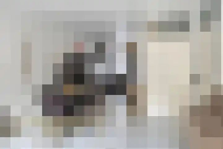 Puccinistraat 13 Zwolle thumbnail 6