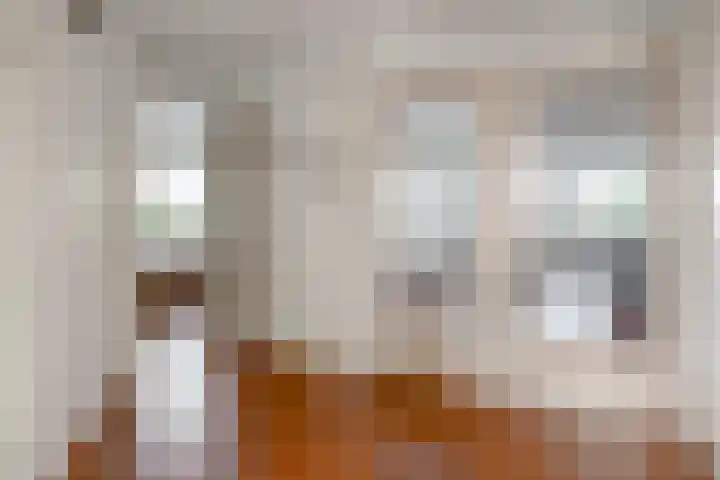 Puccinistraat 130 Capelle aan den IJssel thumbnail 11