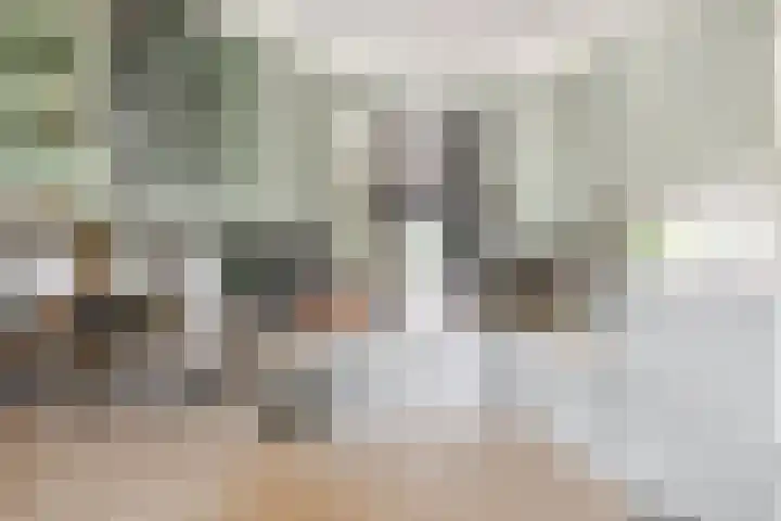 Puccinistraat 130 Capelle aan den IJssel thumbnail 18